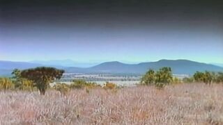 Afrika - Magyar szinkronos teljes vhs xxx film