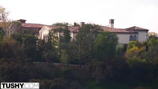 Félvér spanyol spiné tövig szereti