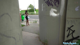 Public Agent - Óriás kannás barna spiné közösül