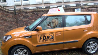 Fake Driving School rá spriccelek a hatalmas csoki faszodra